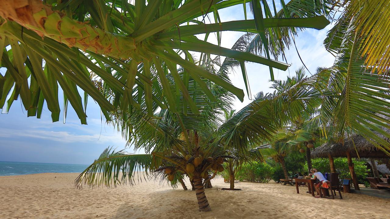 Mangrove Beach Cabana 坦加拉 外观 照片
